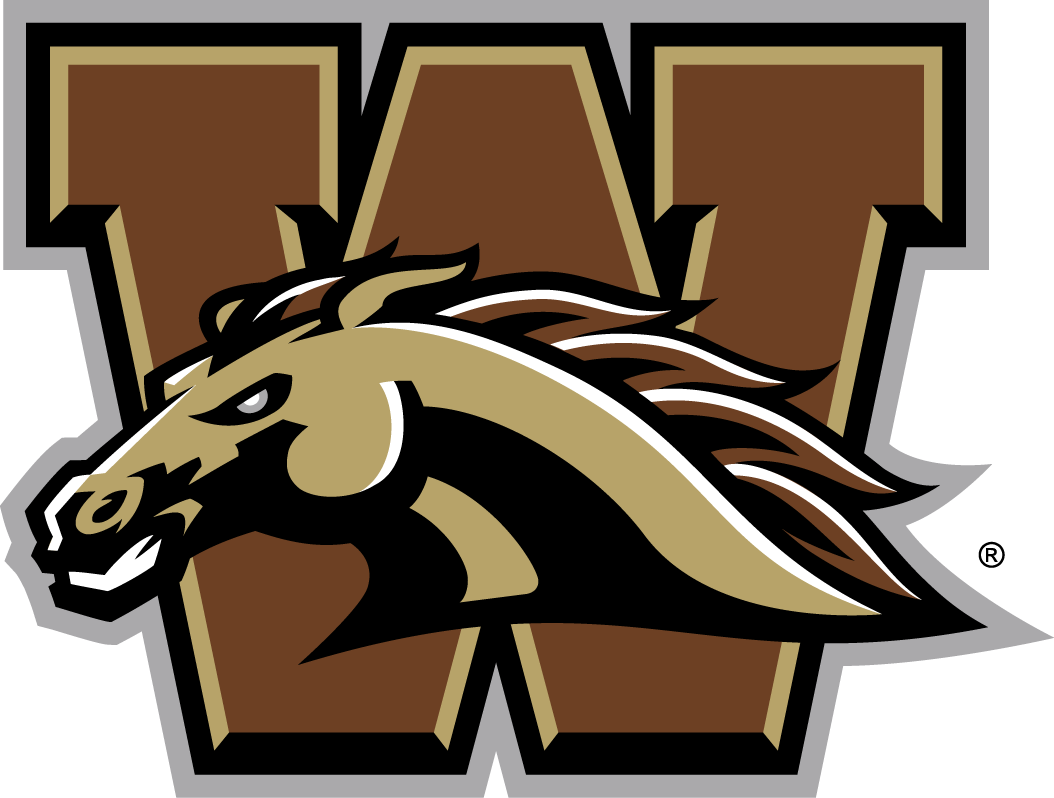 Western Michigan Broncos 2016-Pres Primary Logo vinyl decal